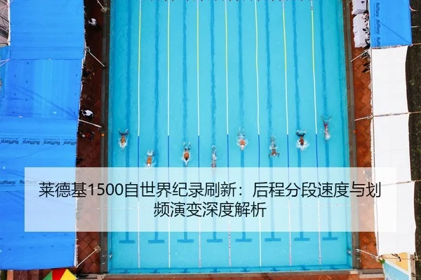 lai-de-ji-zi-shi-jie-ji-lu-shua-xin-hou-cheng-fen-duan-su-du-yu-hua-pin-yan-bian-shen-du-jie-xi-2-493.jpg
