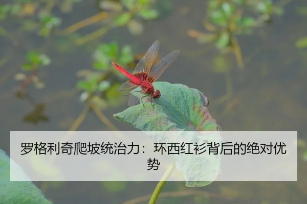 罗格利奇爬坡统治力：环西红衫背后的绝对优势